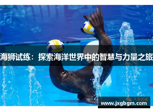 海狮试练:探索海洋世界中的智慧与力量之旅 海狮试练:探索海洋世界中的智慧与力量之旅